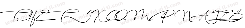 THE TJX COMPNAIESINC字体转换